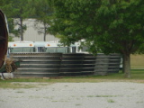 dsc11159.jpg