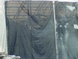 dsc11207.jpg