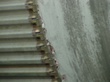 dsc11513.jpg