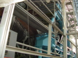 dsc11528.jpg