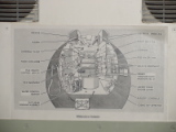 dsc00522.jpg