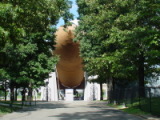 dsc00576.jpg