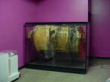 Skylab Artifacts