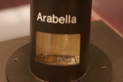 dsc39337.jpg