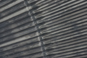 dsc59894.jpg