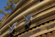 dsc70948.jpg