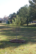dsc71266.jpg