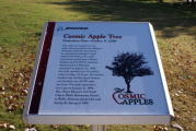 dsc71267.jpg