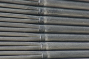 dsc80312.jpg