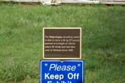 dsc34336.jpg