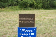 dsc34674.jpg
