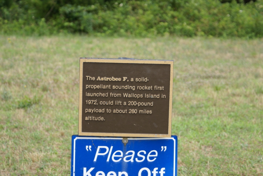 dsc34677.jpg