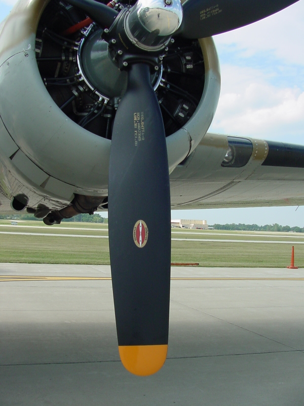 dsc19071.jpg