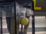 dsc20418.jpg