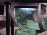dsc20431.jpg